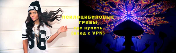 дмт Абаза
