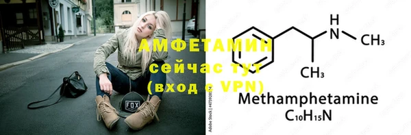 прущие грибы Абдулино