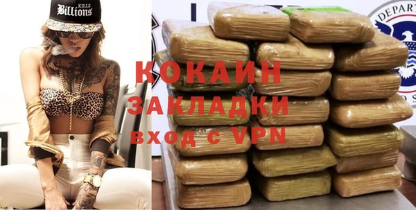 прущие грибы Абдулино